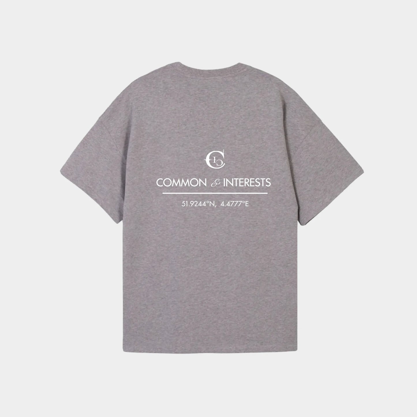 Coordinates T-Shirt Grey