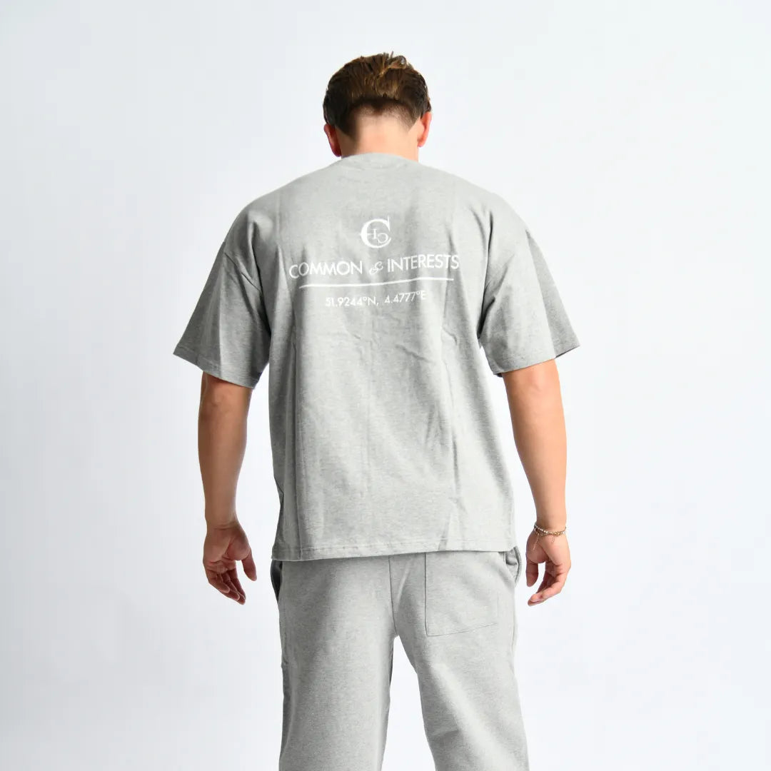 Coordinates T-Shirt Grey